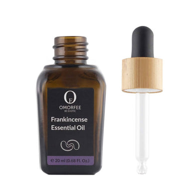 https://cdn.shopify.com/s/files/1/1857/6931/products/QMetPo7JfZ.jpg?v=1640949778
